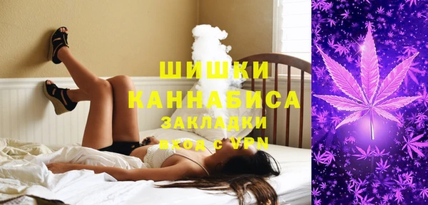 бошки Арсеньев