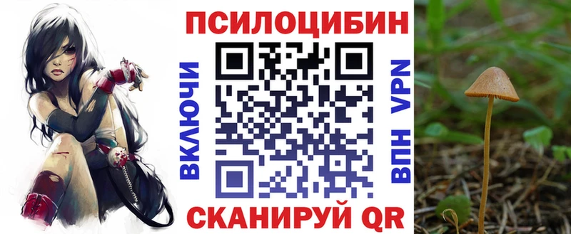 Купить  Сосновка  Псилоцибиновые грибы ЛСД 